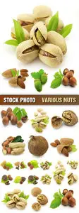 Stock Photo - Various Nuts