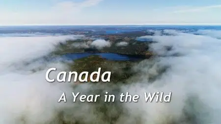 Channel 5 - Canada: A Year in the Wild (2018)