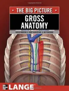 Gross Anatomy: The Big Picture (MOBI)