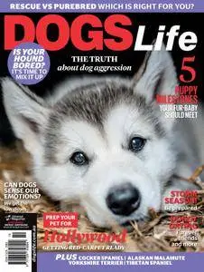 Dogs Life - February/March 2018