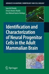 Identification and Characterization of Neural Progenitor Cells in the Adult Mammalian Brain (repost)