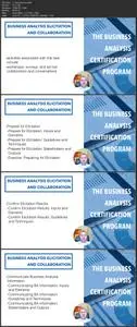 Business Analysis Elicitation and Collaboration (IIBA -ECBA)