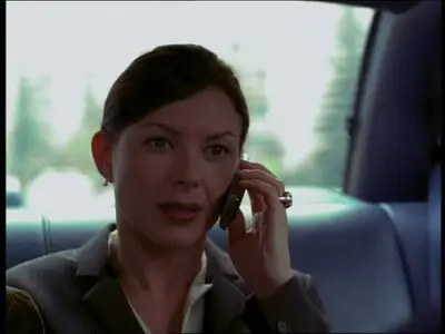 Spider's Web (2002)