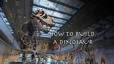 BBC - How to Build a Dinosaur (2011)