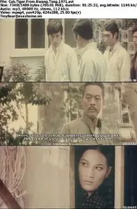 Cub Tiger From Kwang Tung (1971)