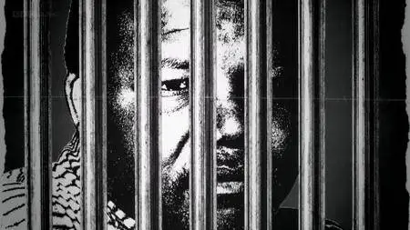 Nelson Mandela: The Myth and Me (2013)