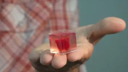 NHK - Breakthrough: Fixing a Broken Heart (2019)