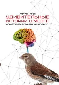 «Удивительные истории о мозге или рекорды памяти коноплянки» by Лоран Коэн