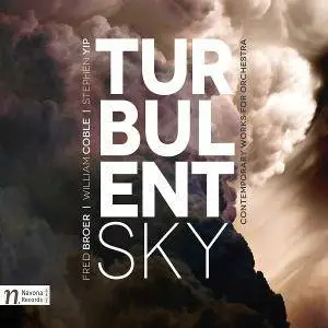 Fred Broer · William Coble · Stephen Yip - Turbulent Sky (2015)