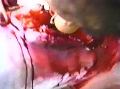 Mother's Day: What a Horror! (1995)