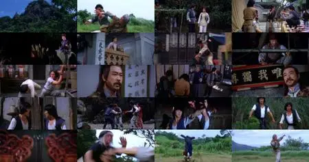 World of the Drunken Master (1979)