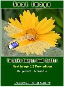 Neat Image 5.2 Pro+