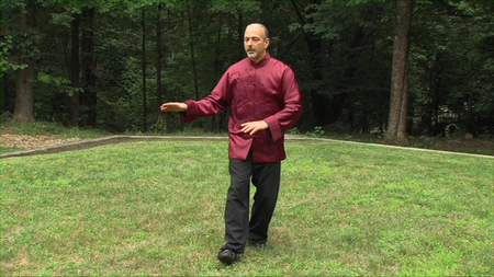 The Healing Field - Exploring Energy and Consciousness