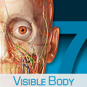 3D Anatomical Model of the Human Body 7.4.01