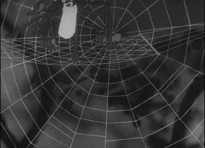 The Spider and the Tulip (1943)