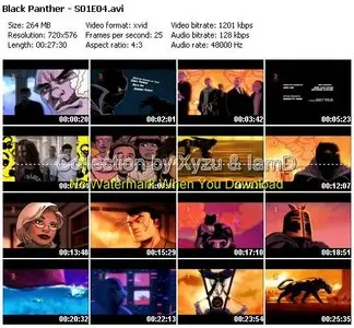 Black Panther S01E03-S01E04 (2010)