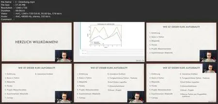 Visualisiere Daten Mit Python - Auch Für Anfänger!