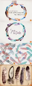 Creativemarket - Feathers & Pheasant Wreath + ABR