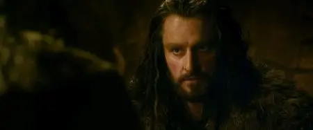 The Hobbit: The Desolation of Smaug - Extended (2013)