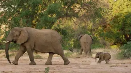 BBC - Planet Earth II: 4of6 Deserts (2016)