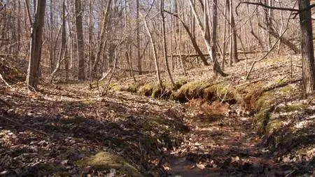 Moonshiners S07E00