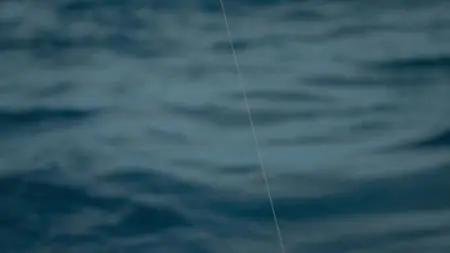 Sharkwater Extinction (2018)