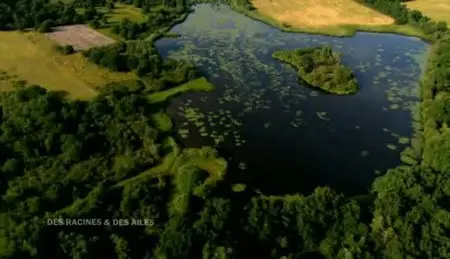 (Fr3) Des Racines et des Ailes : La France au fil de l'eau (2011)