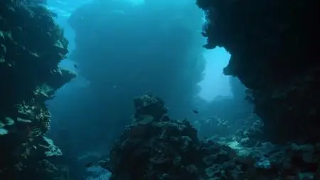 A World of Calm S01E01