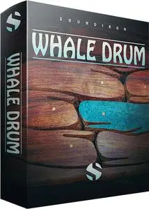 Soundiron Whale Drum v2.0 KONTAKT