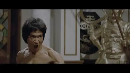 Enter the Dragon (1973) [Special Edition] [4K, Ultra HD]