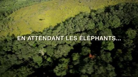 En Attendant Les Elephants (2012)