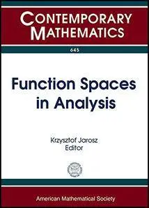 Function Spaces in Analysis