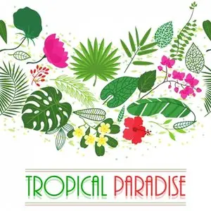 Soundmasters Tropical Paradise [WAV Ableton Live Ni Massive]