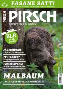 Pirsch Nr.14 - 8 August 2018