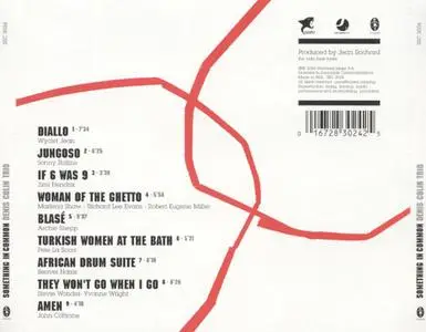 Denis Colin Trio - Something In Common (2002) {Nato}