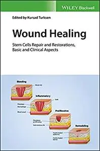 Wound Healing: Stem Cells Repair and Restorations, Basic and Clinical Aspects