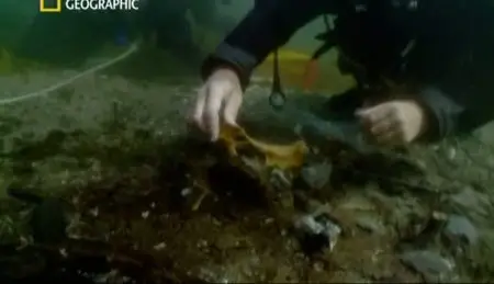 (Nat Geo) Atlantide - La cité oubliée (2011)