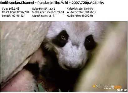 Smithsonian Channel - Pandas in The Wild [2007]