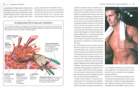 Ginnastica posturale. Respirazione, schiena, bacino, collo, esercizi (2011)