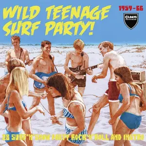 VA - Wild Teenage Surf Party 28 Surf’N’Snow Party Rock’N’Roll And: Instro 1959-66 (2022)