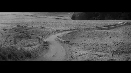 Bogancloch (2024)