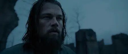 The Revenant (2015)