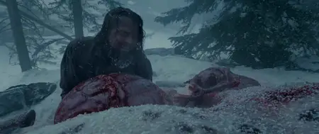 The Revenant (2015)