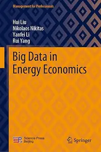 Big Data in Energy Economics