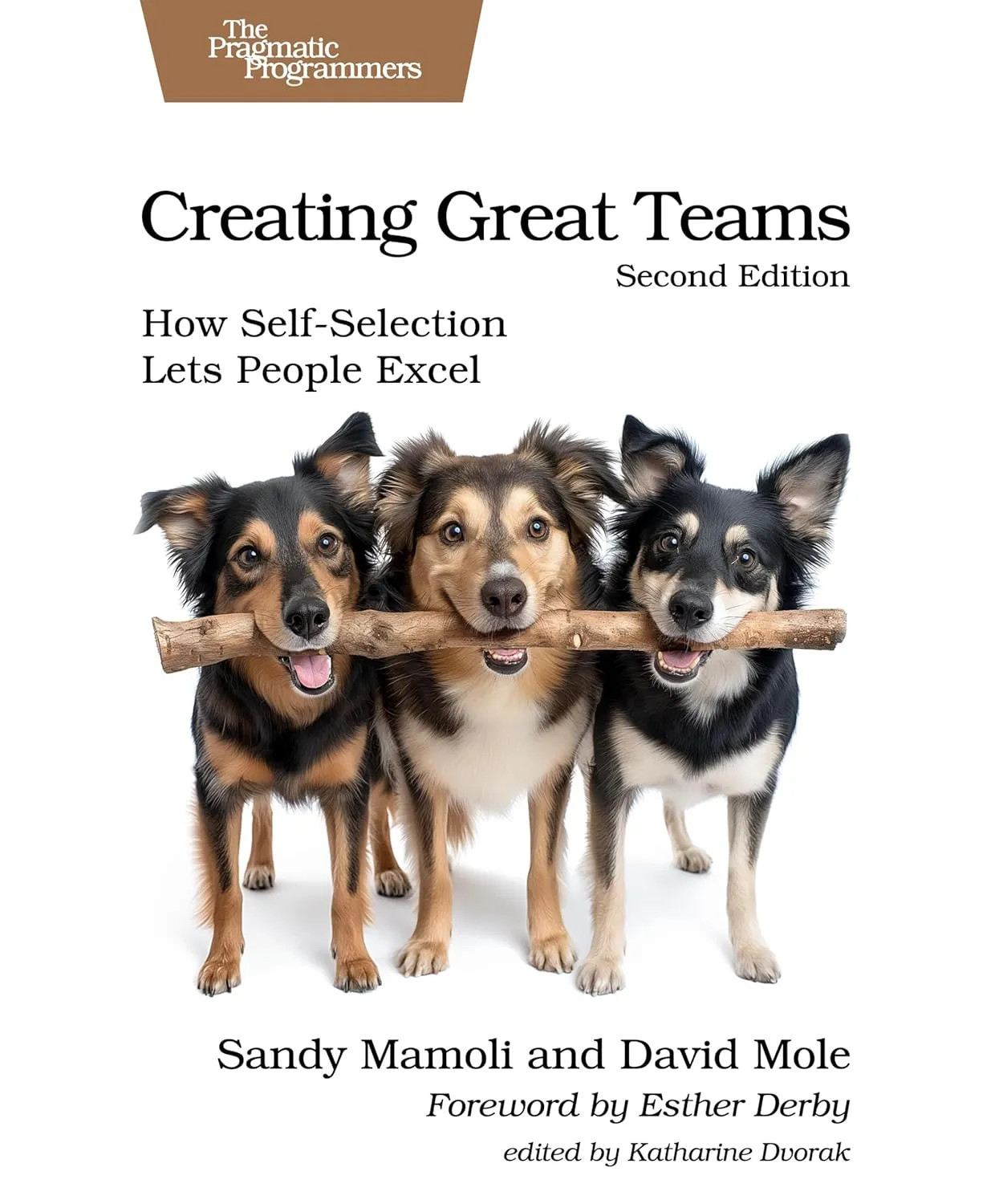 Creating Great Teams, Second Edition: How Self-Selection Lets People Excel (Pragmatic Programmers)