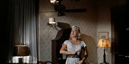 Imitation of Life (1959)