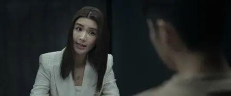 Ng poon / The Prosecutor (2024)