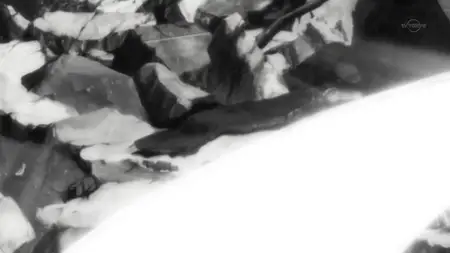 Bleach - 301