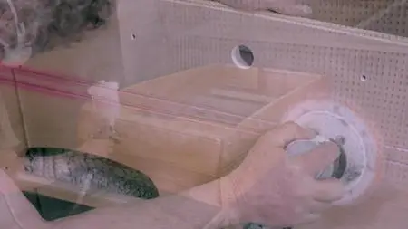 Marseille S29E09
