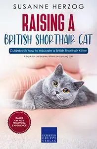 Raising a British Shorthair Cat – Guidebook how to educate a British Shorthair Kitten